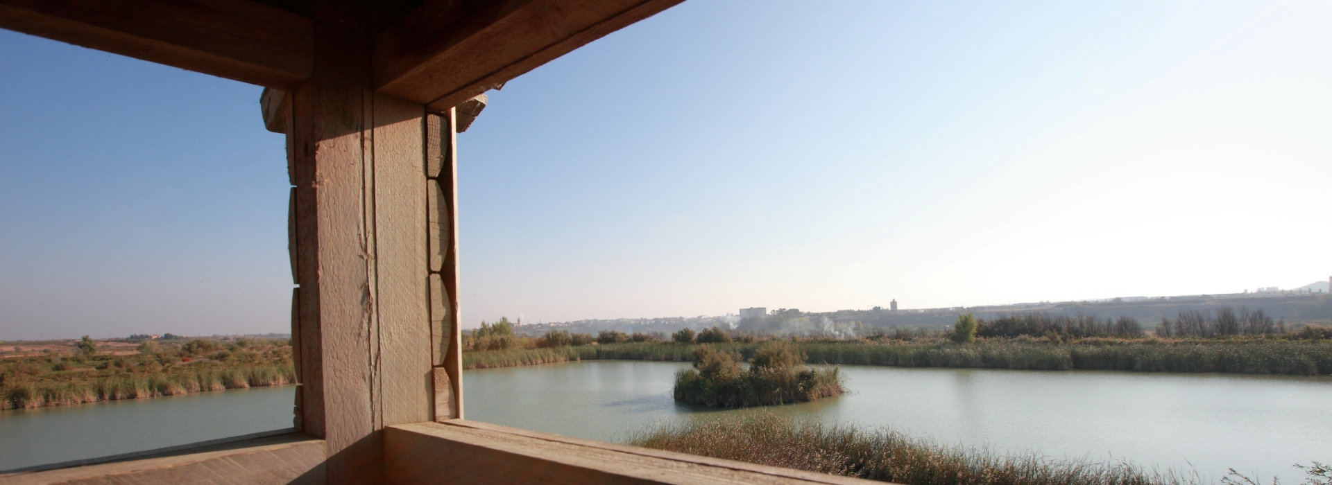 Observatorio de Aves de la Laguna de Lor